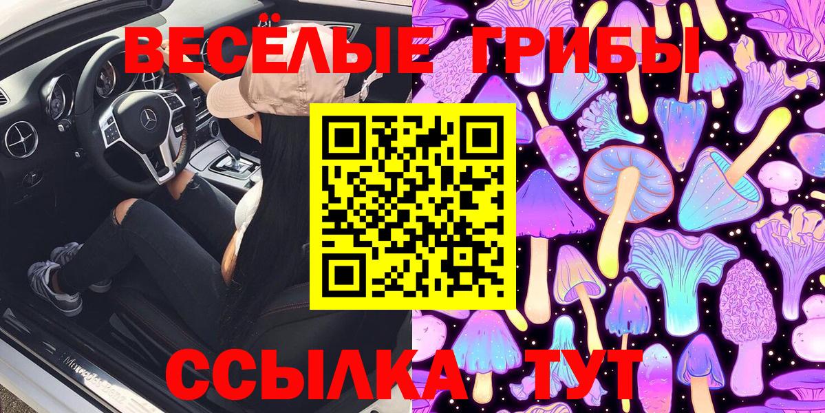 Псилоцибиновые грибы Cubensis Нальчик